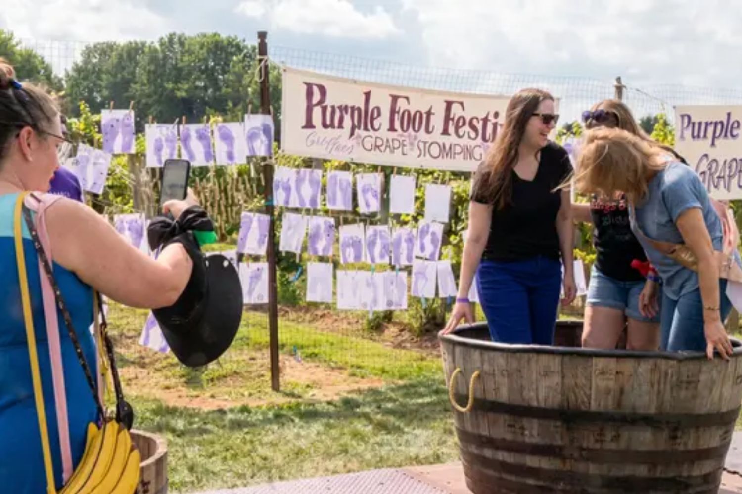 Purple Foot Festival - Casa Larga Vineyard -Sun., Sept. 13, 2026